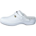 New Bonus White