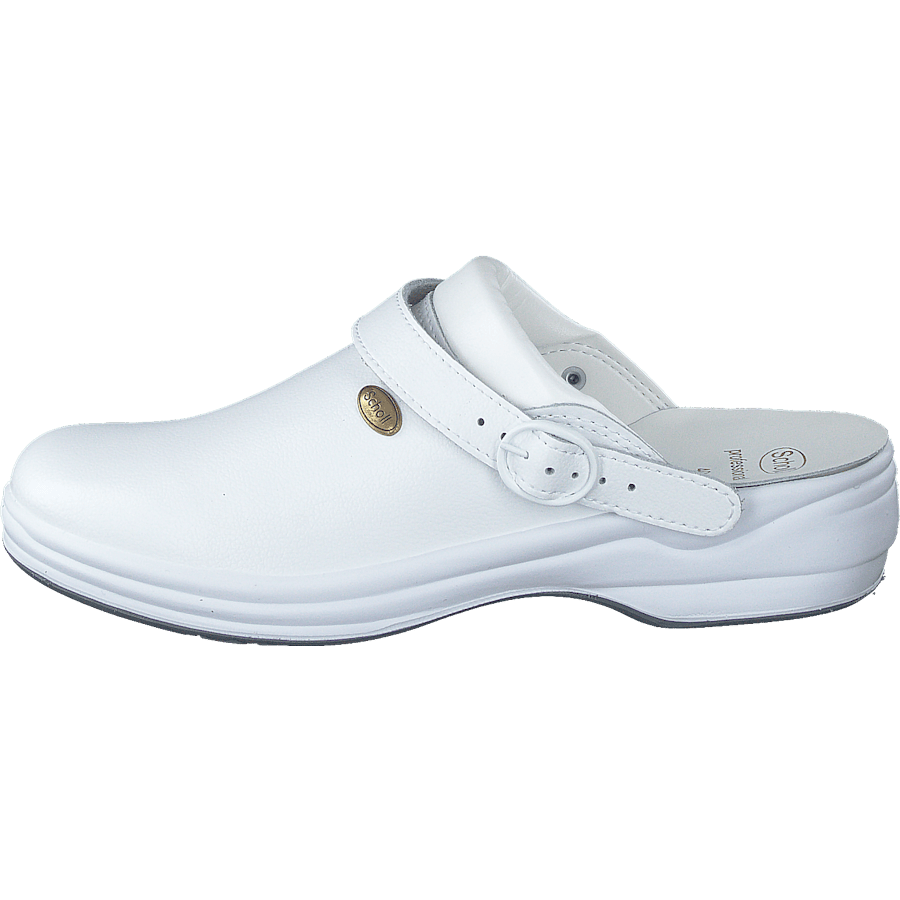 New Bonus White