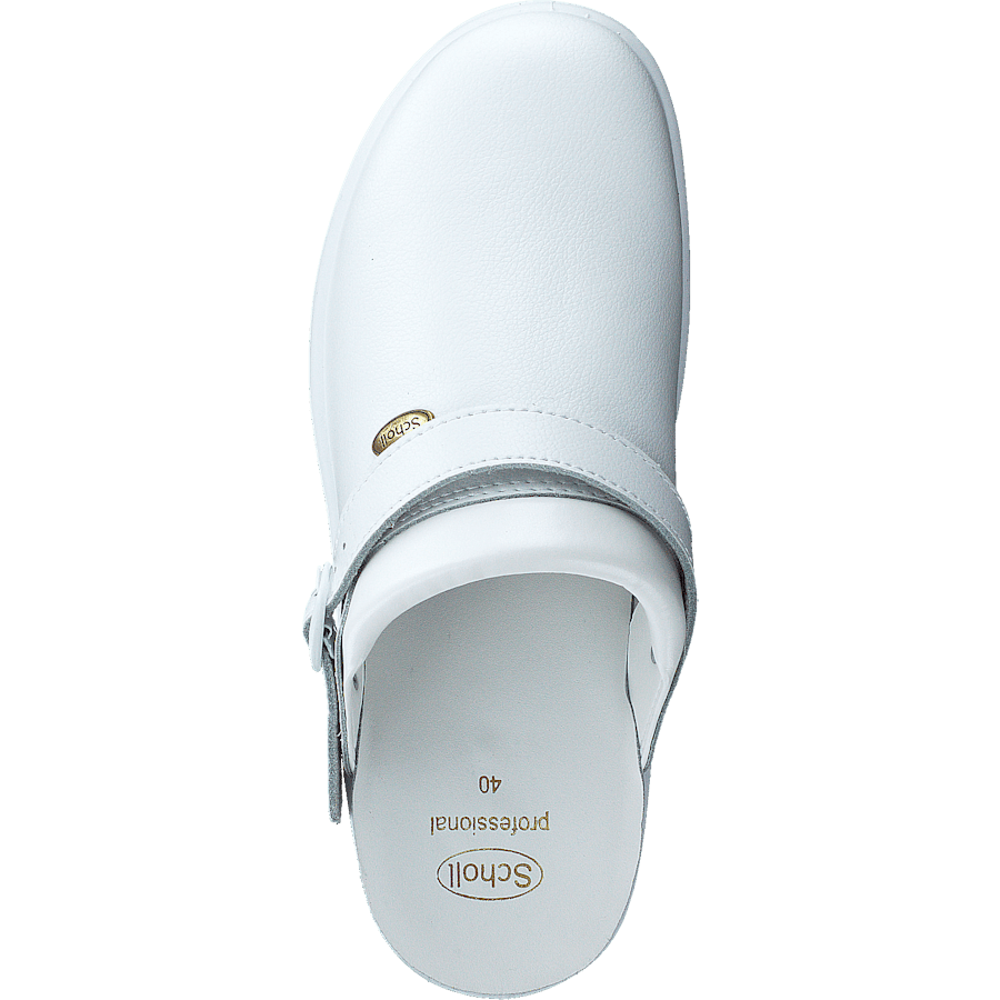 New Bonus White