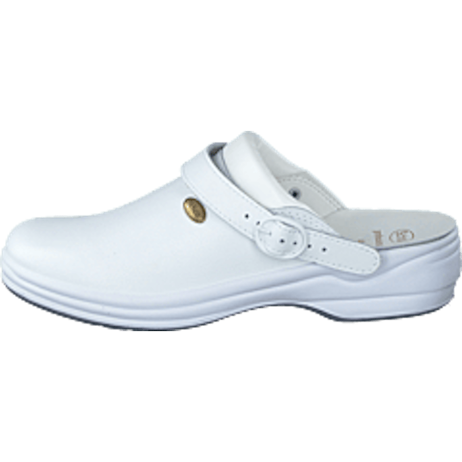 New Bonus White