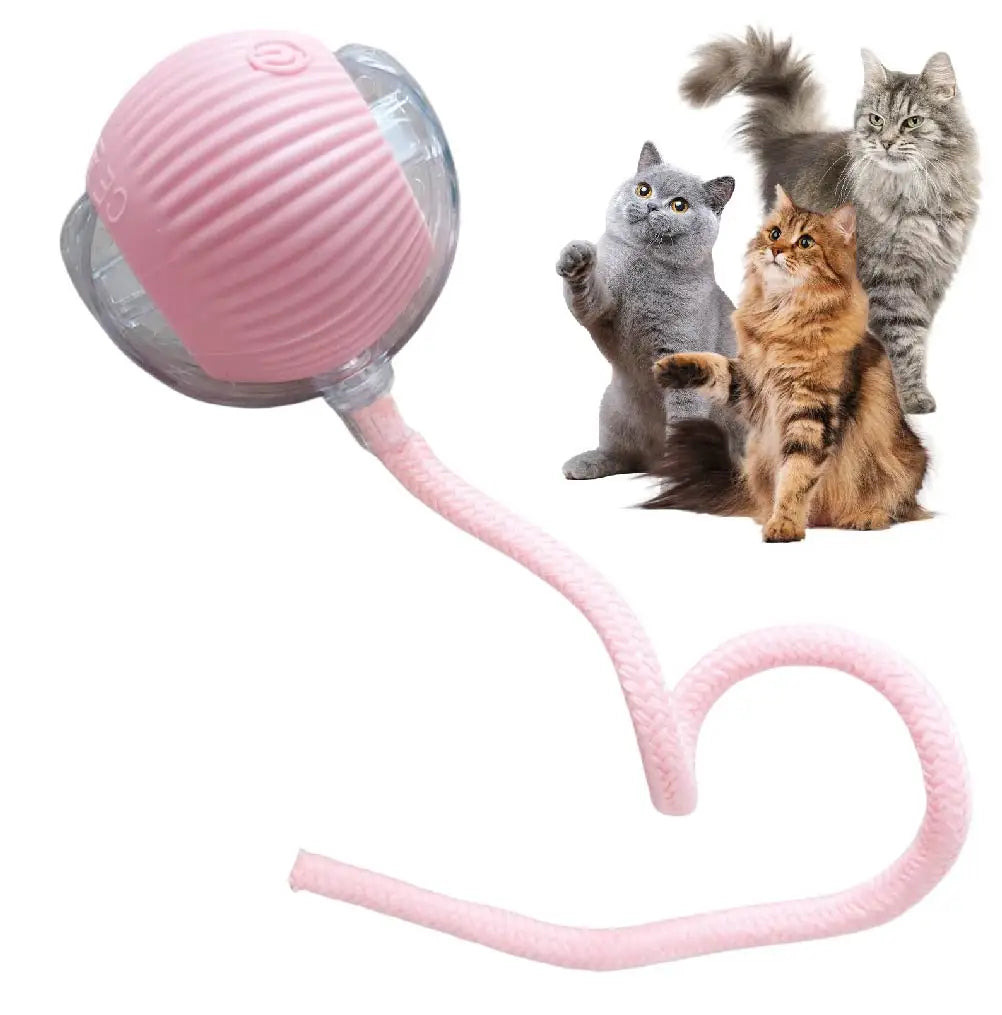 Automatisches Rollball-Katzenspielzeug