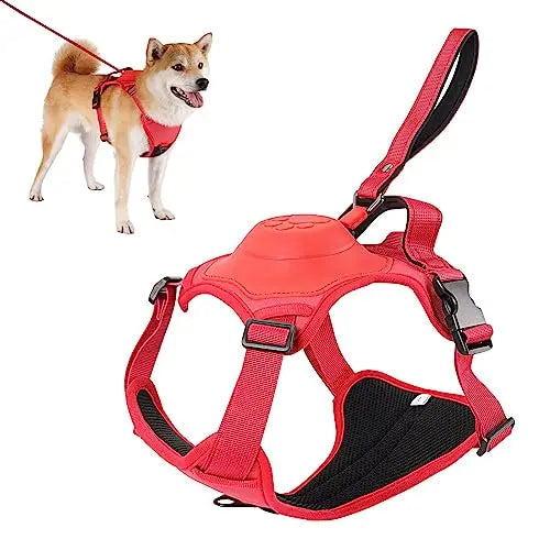 Hundegeschirr und automatisches Rollleinen-Set