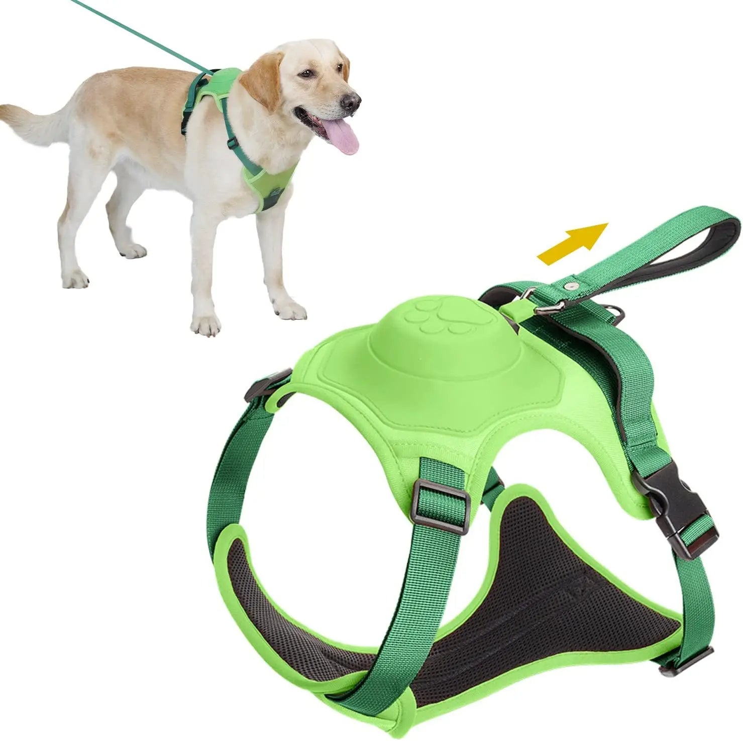 Hundegeschirr und automatisches Rollleinen-Set