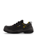 1538 Terra Black