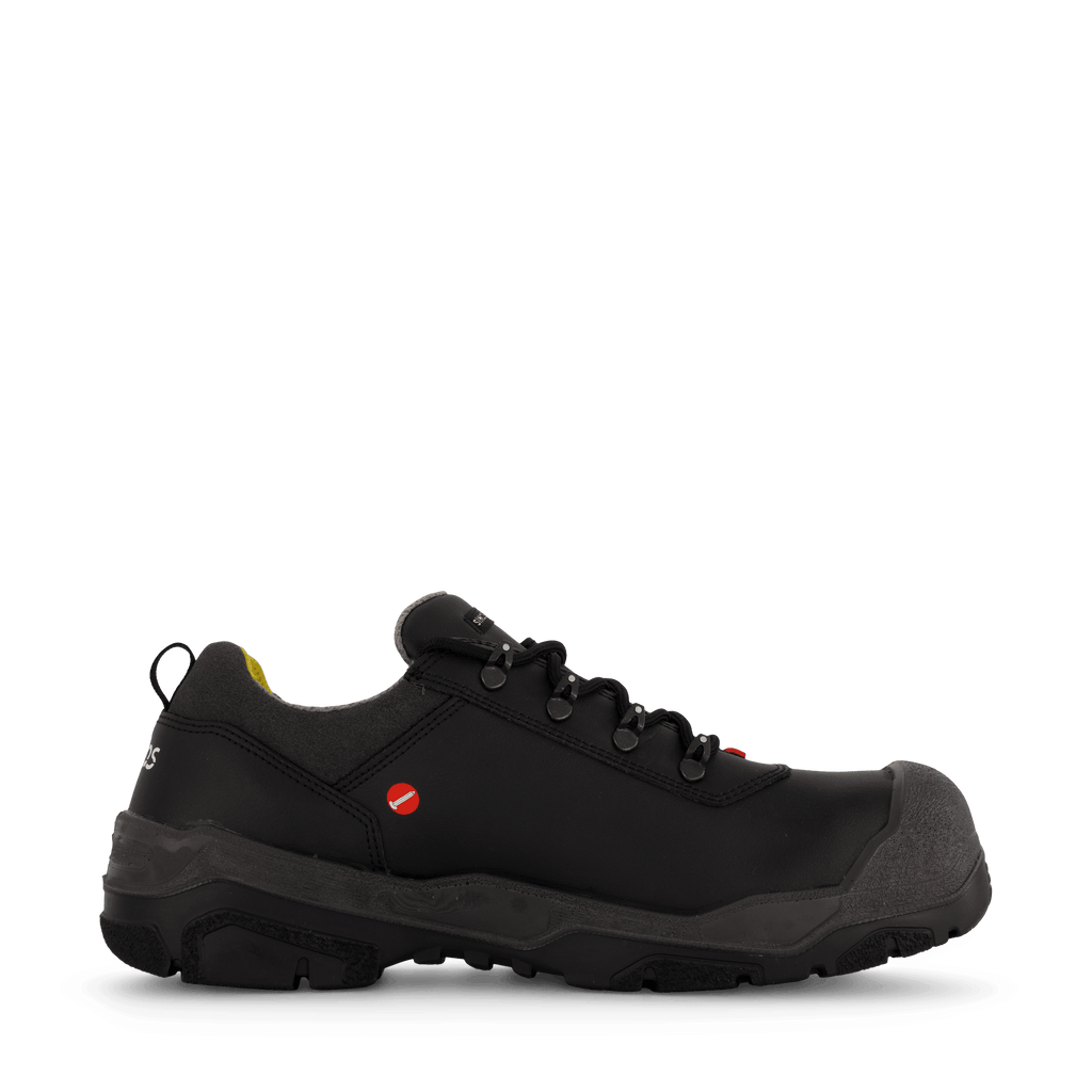 1538 Terra Black
