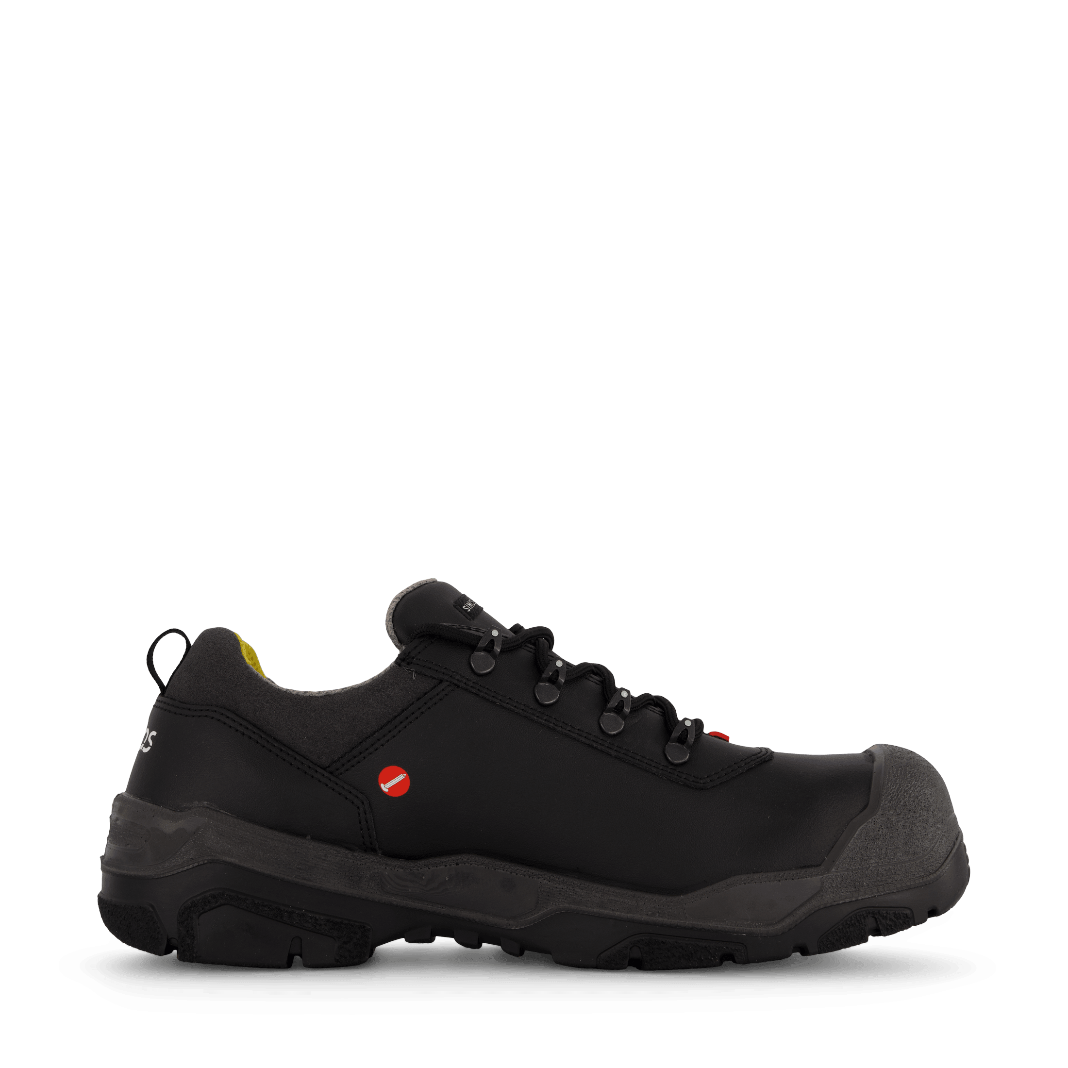 1538 Terra Black