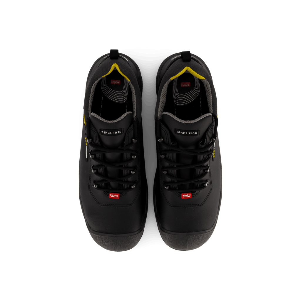 1538 Terra Black