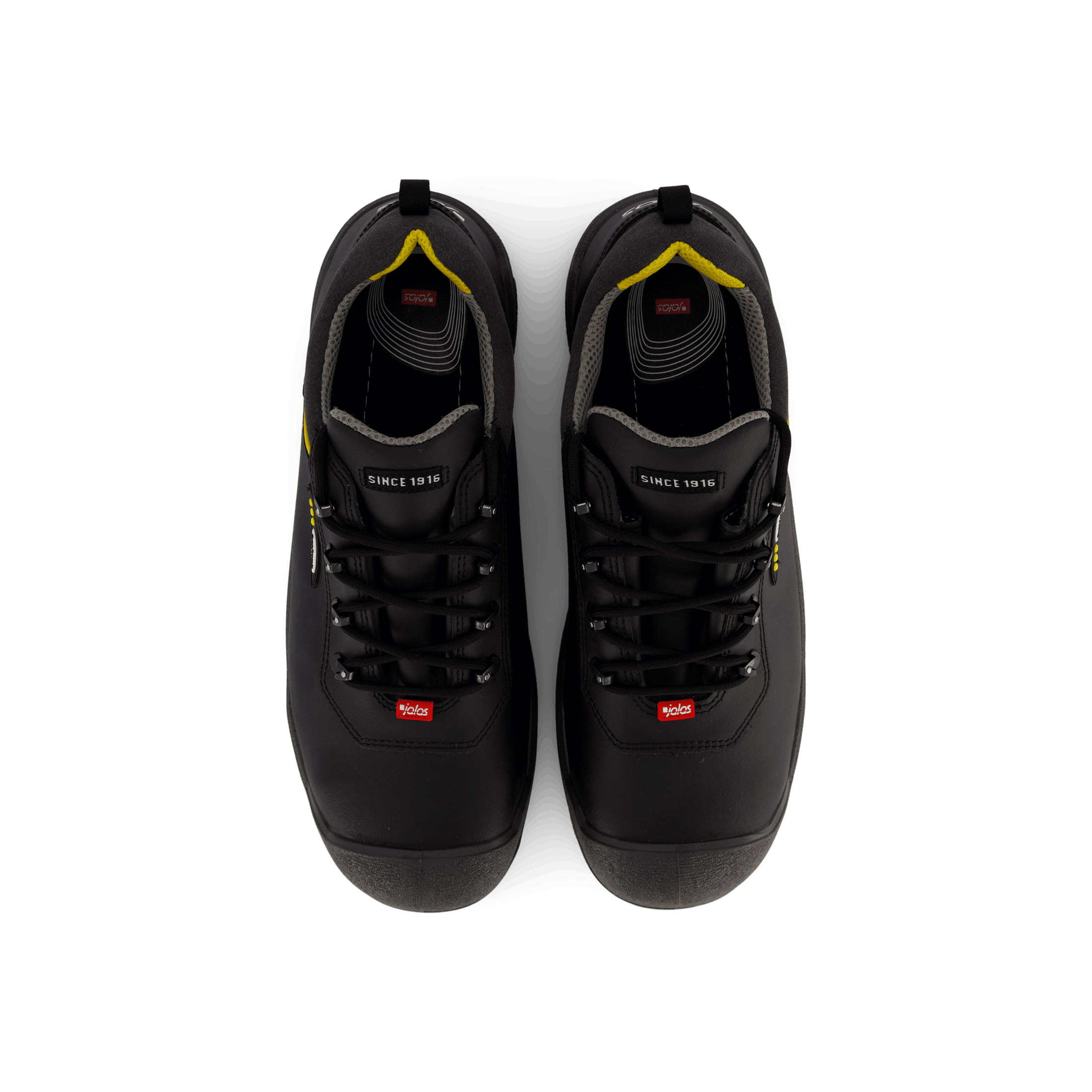 1538 Terra Black