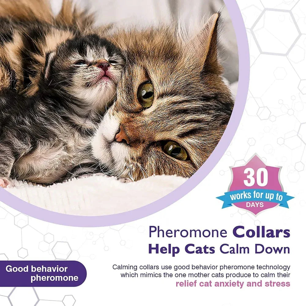 Pet Calm Comfort Relieve Anxiety Cat Collar