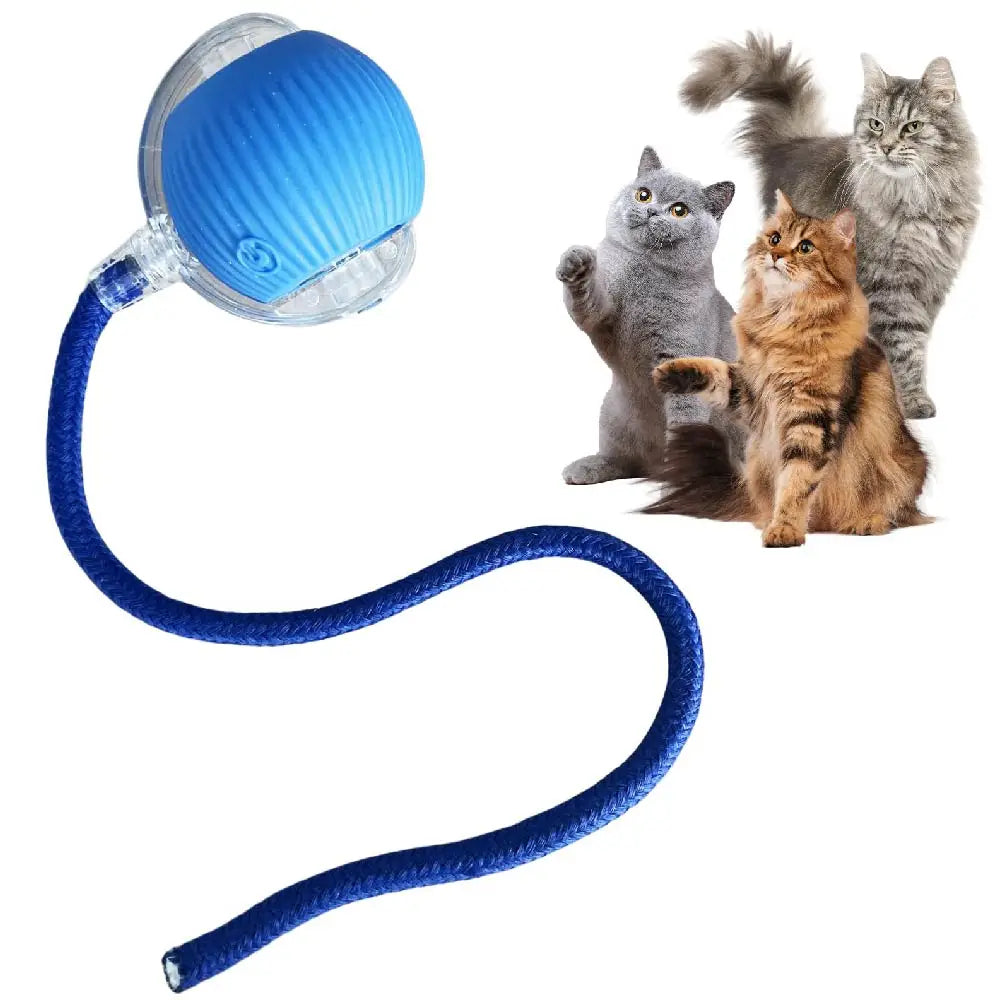 Automatisches Rollball-Katzenspielzeug