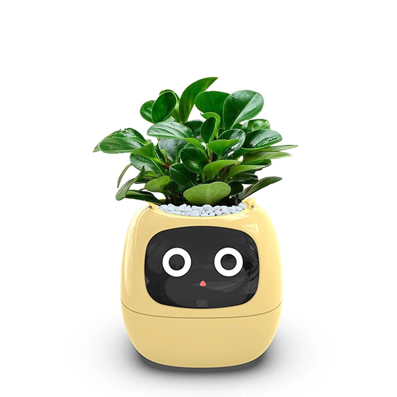 Intelligenter kleiner Blumentopf