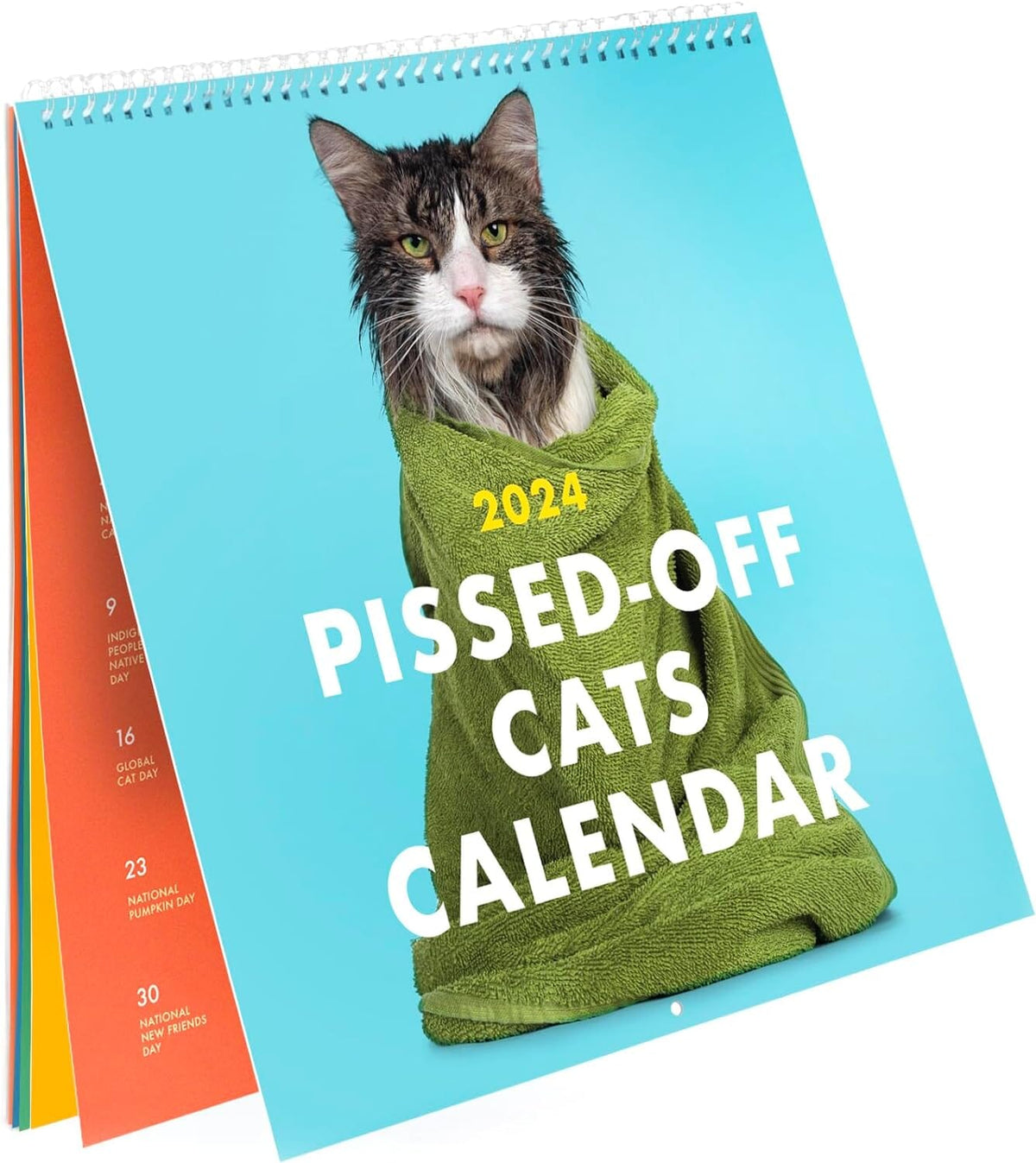 2024 Ilskna Katter Kalender