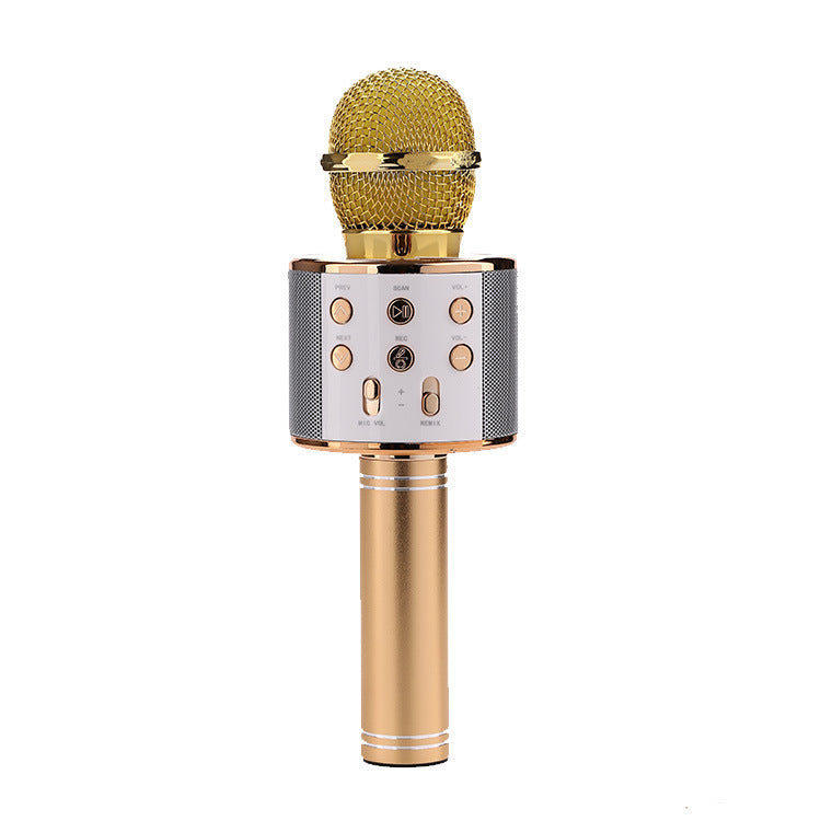 Trådlös karaoke-mikrofon med Bluetooth och högtalare