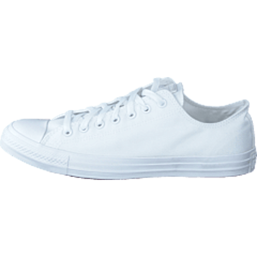 Chuck Taylor All Star Ox White Mono