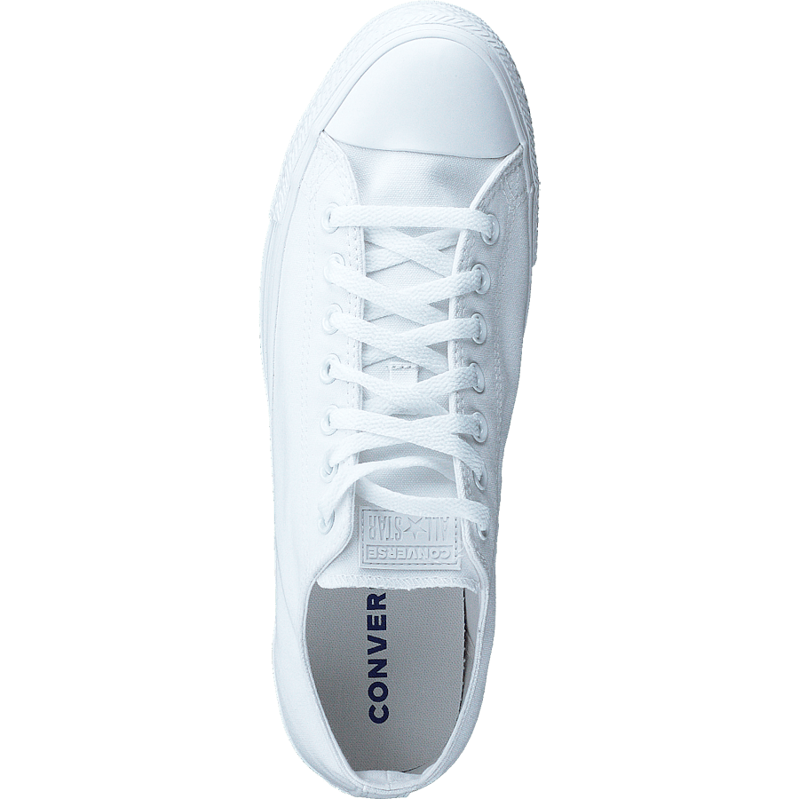 Chuck Taylor All Star Ox White Mono