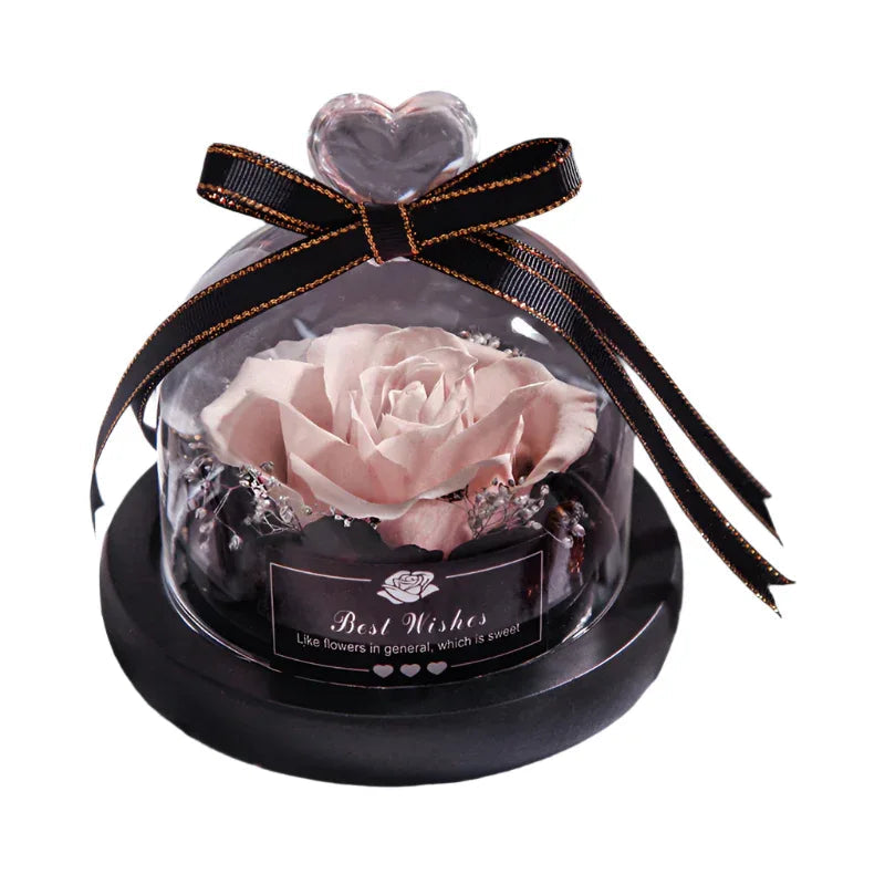 Romantic Flowers Home Decor Rose With LED Glass Valentine's Day Couples Gift
