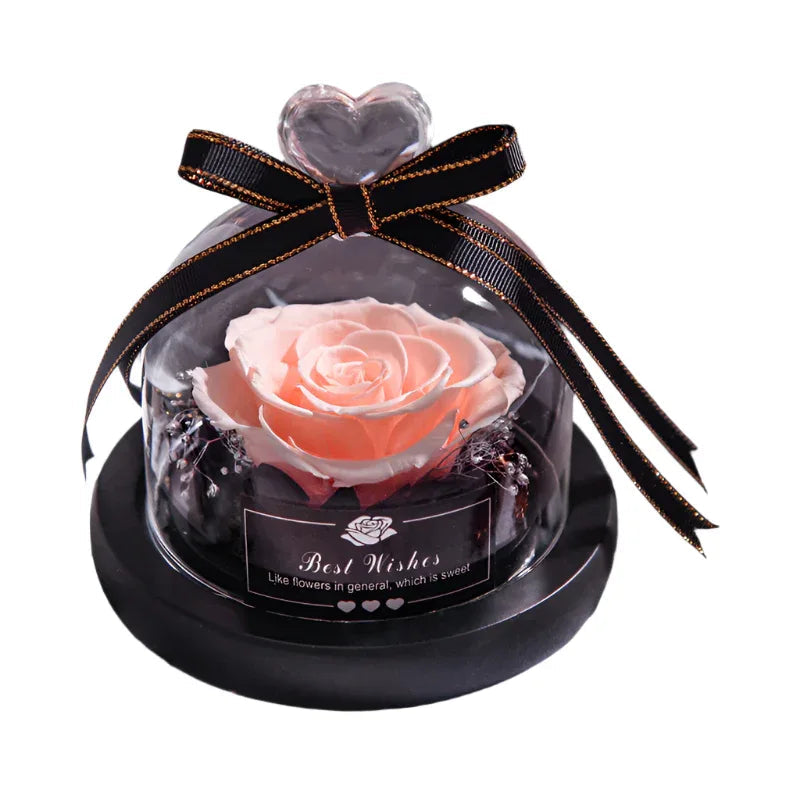 Romantic Flowers Home Decor Rose With LED Glass Valentine's Day Couples Gift
