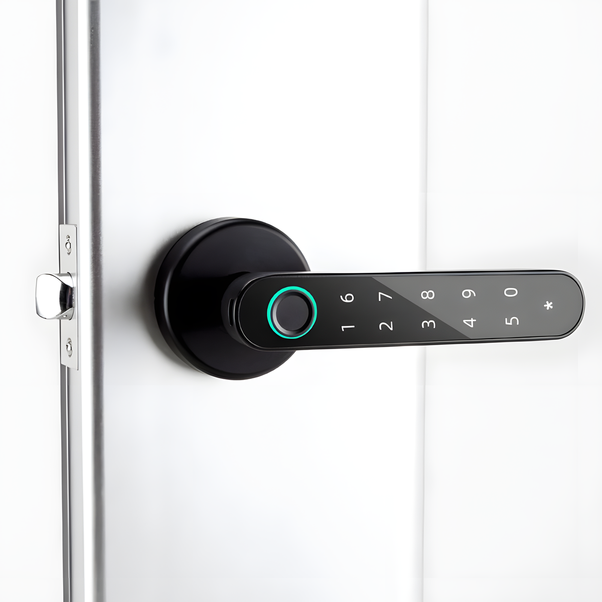 Fingerprint Lever Door Handle with Key Backup