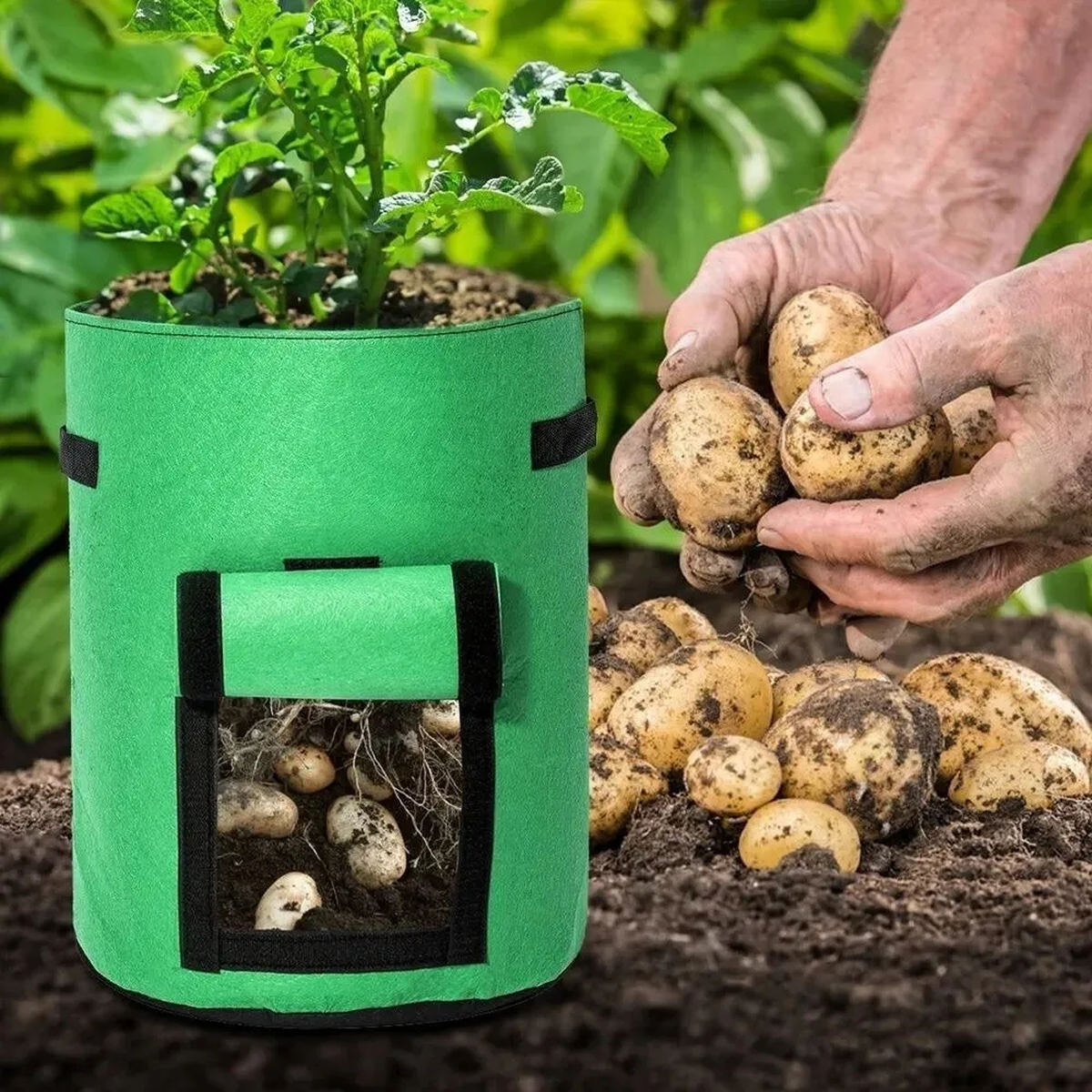 Felt Potato Grow Bag with Harvest Flap