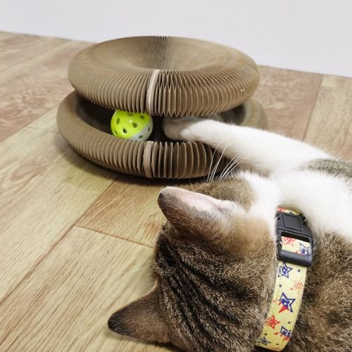 Rundes Katzenkratzbrett mit Orgelmotiv
