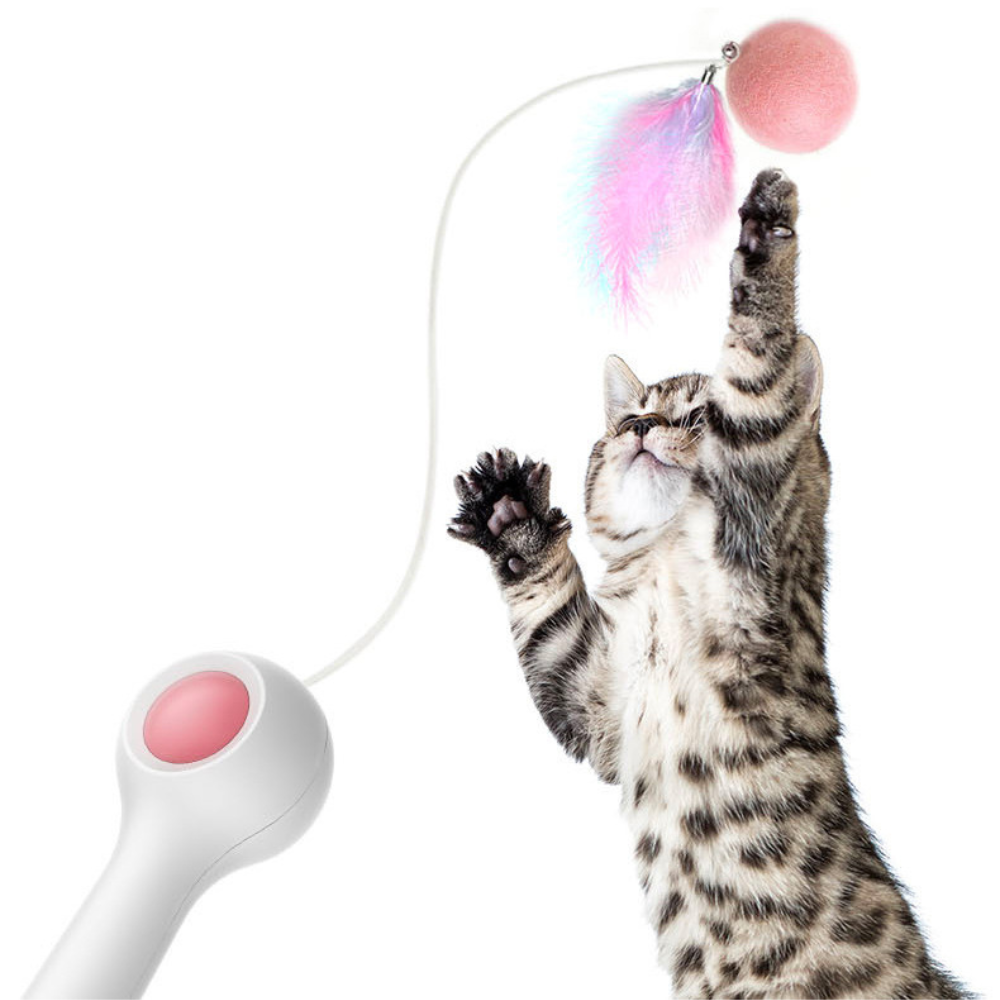 Katzenspielzeug mit einziehbarem Federstab