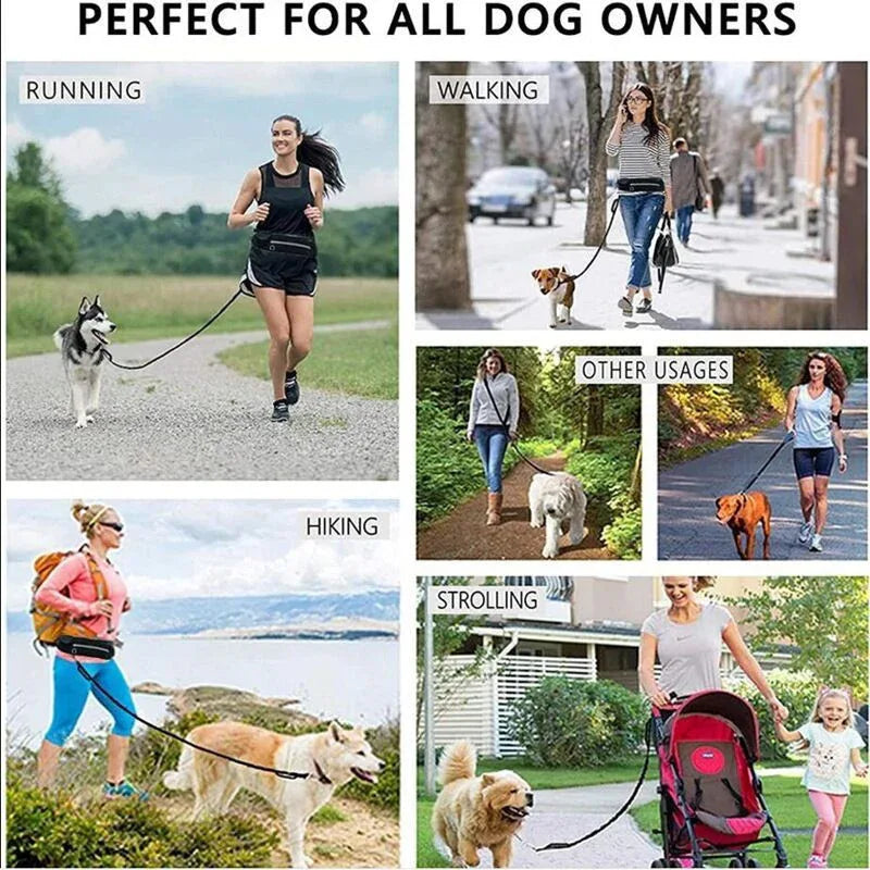 Pet Handsfree Dog Leash And Waistbag