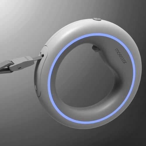 Hundeleinenring mit LED-Beleuchtung