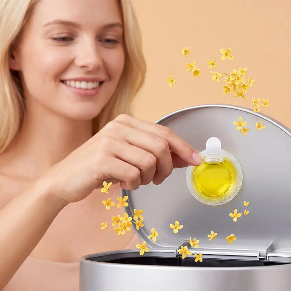 Trash Can Deodorizer