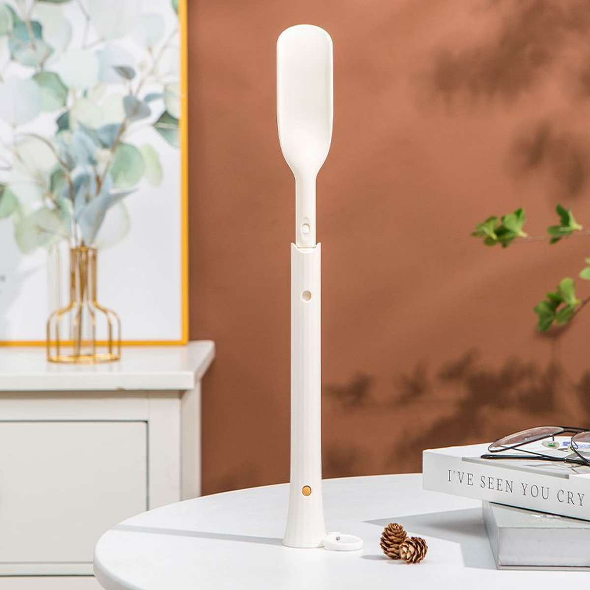 Retractable Long-Handle Shoe Horn