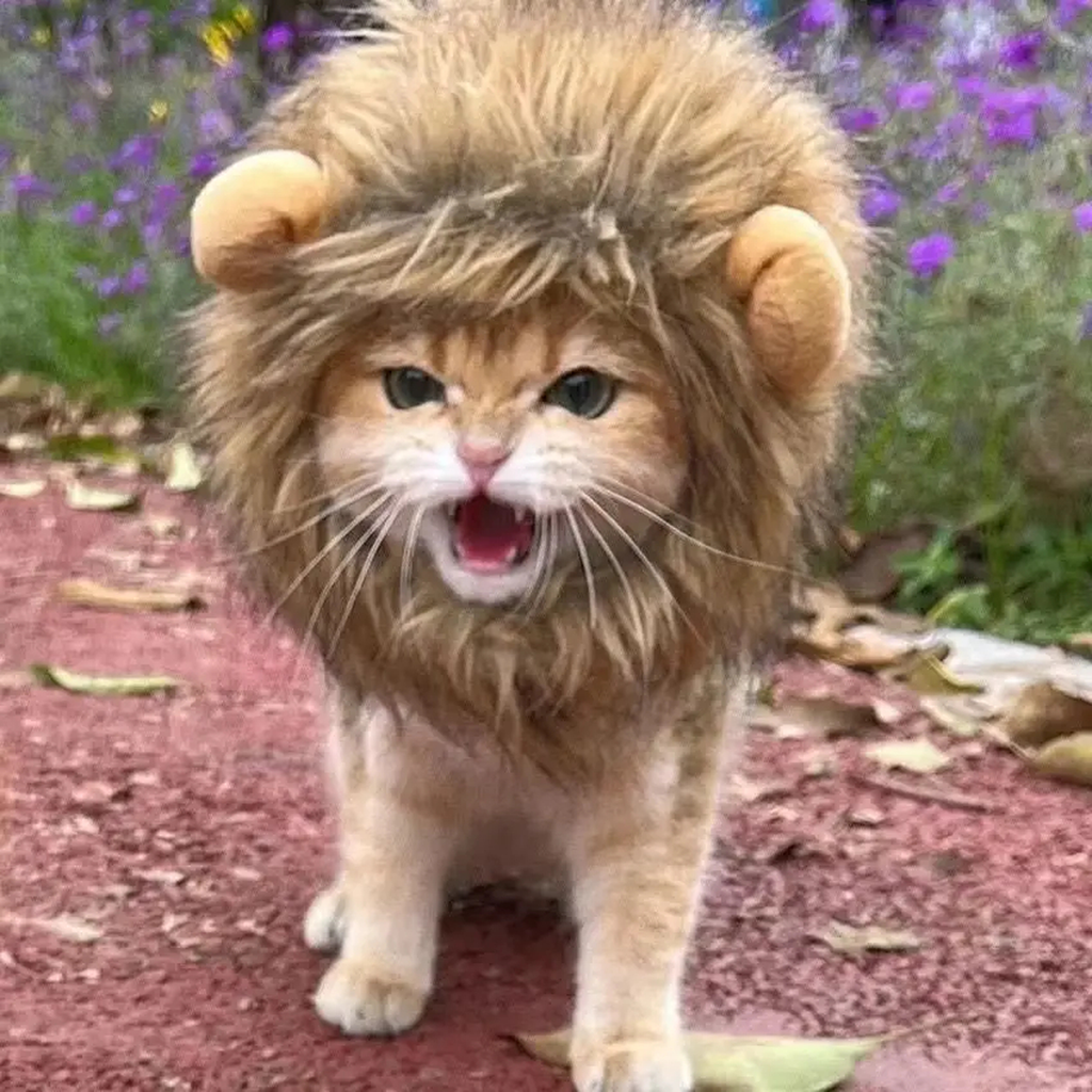 Lion Costume Hat for Pets