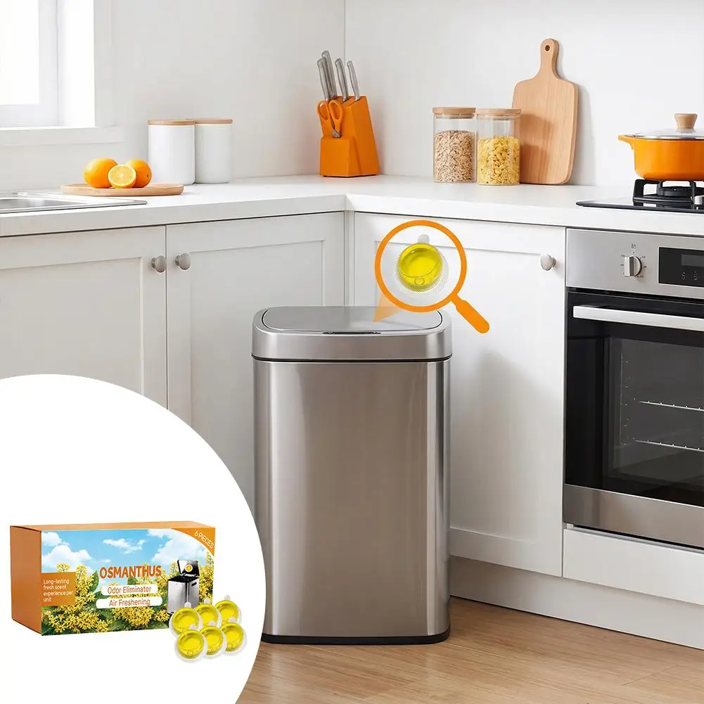 Trash Can Deodorizer