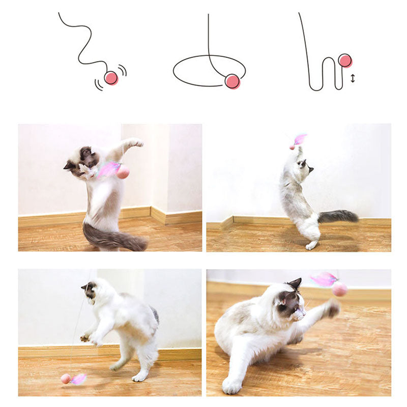 Katzenspielzeug mit einziehbarem Federstab