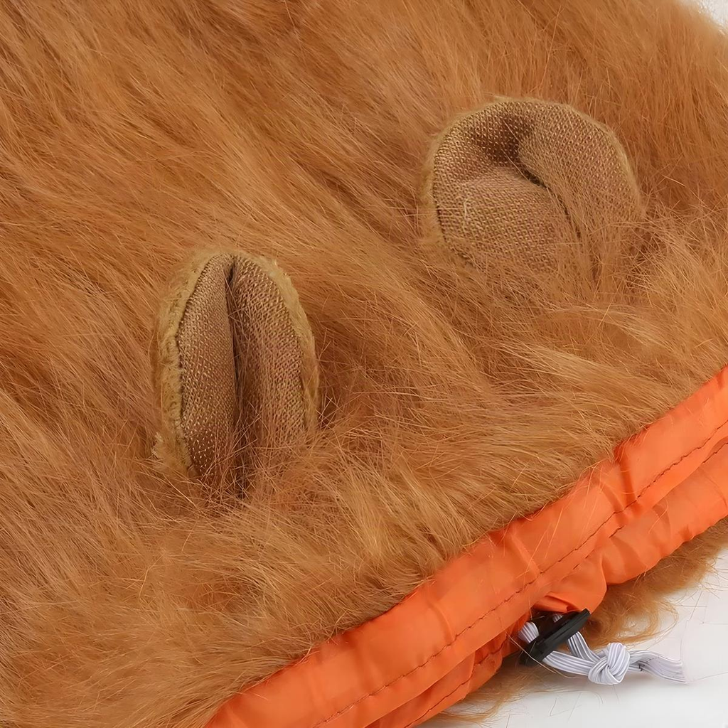 Dog Lion Mane Costume