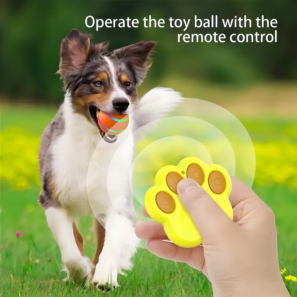 Remote Control LED Dog Ball