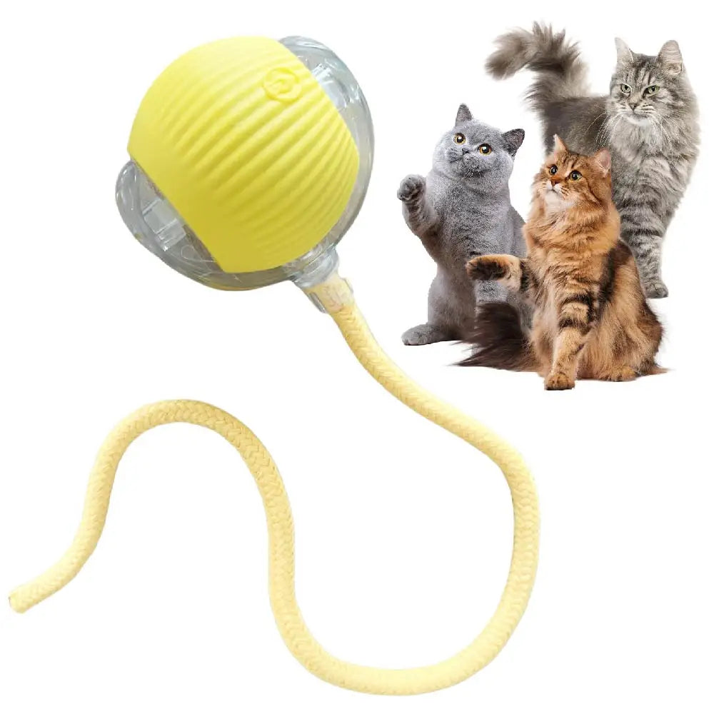 Automatisches Rollball-Katzenspielzeug