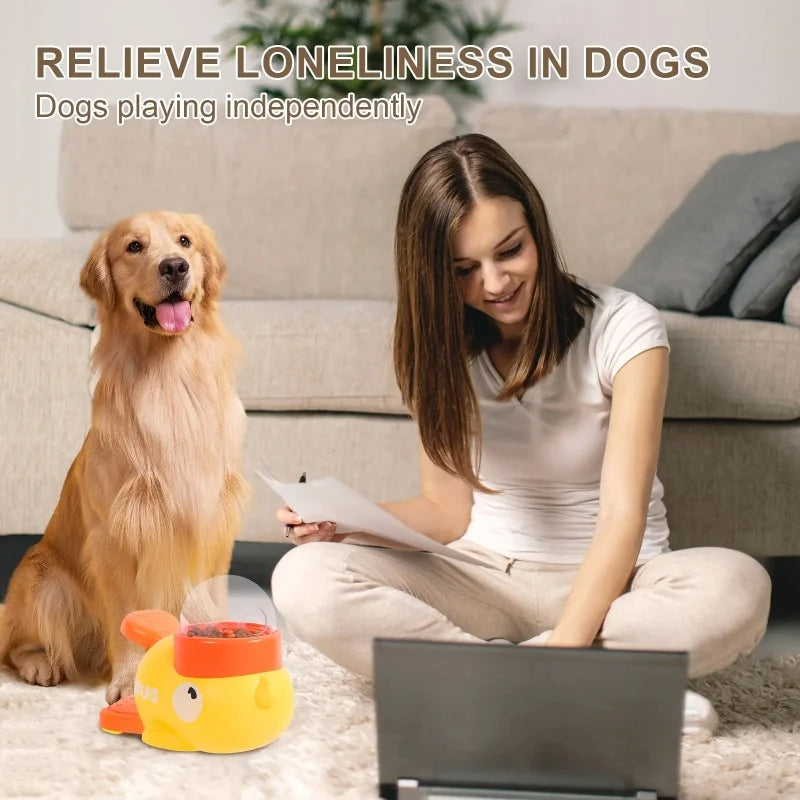Automatic Interactive Pet Feeder