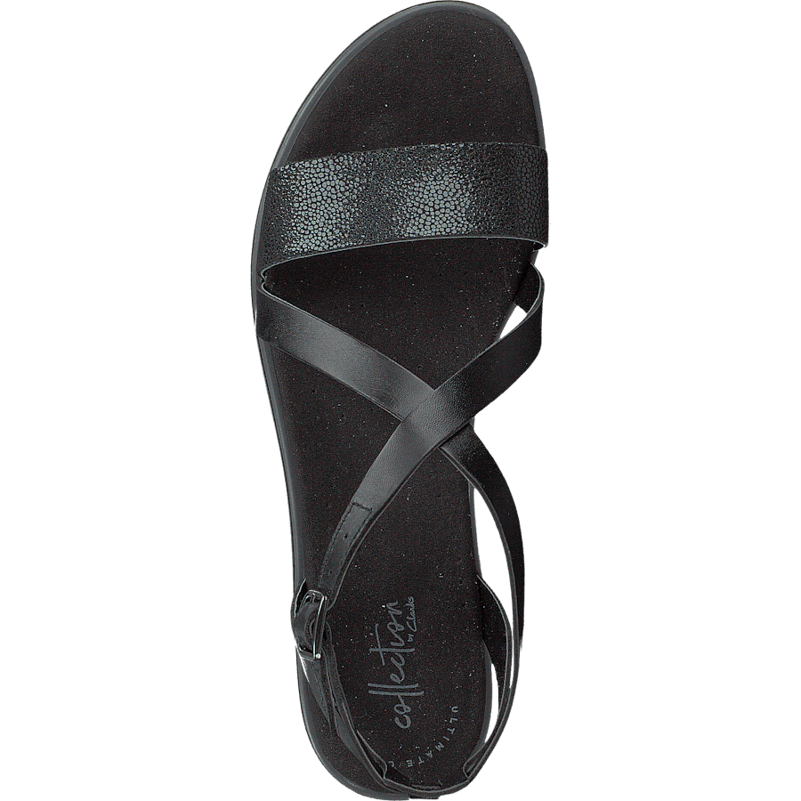 Bay Rose Black Interest