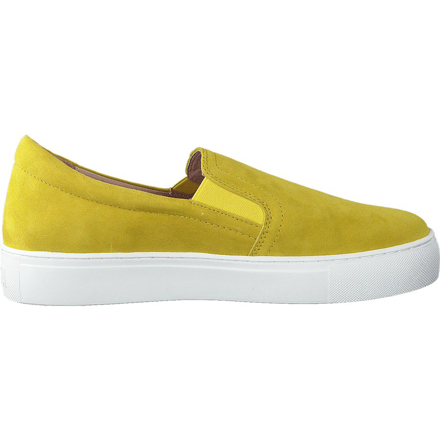 Starlily Yellow