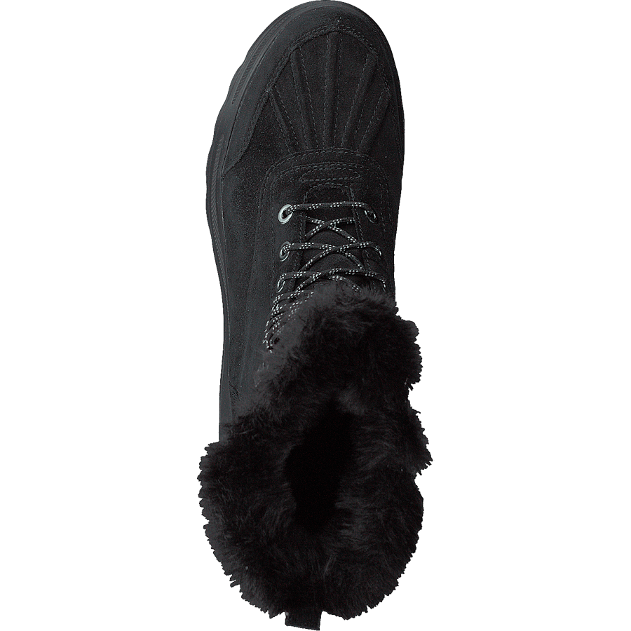 D Hosmos B Abx Black