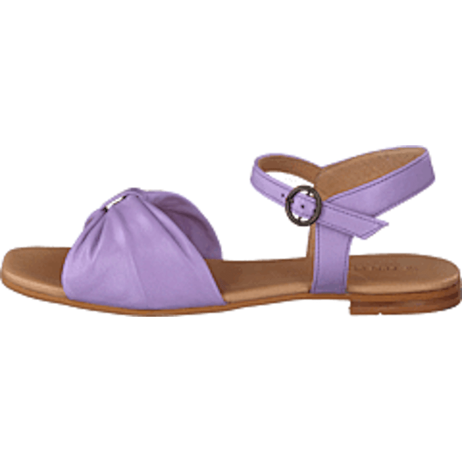 Madeleine Lilac