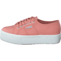2790 Acotw Linea Rose Lobster