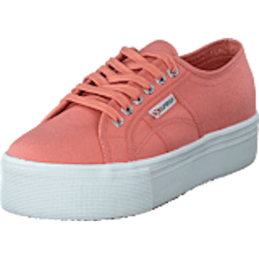 2790 Acotw Linea Rose Lobster