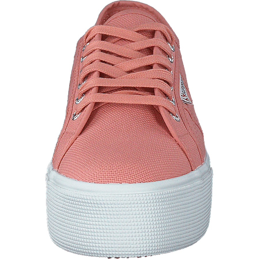 2790 Acotw Linea Rose Lobster