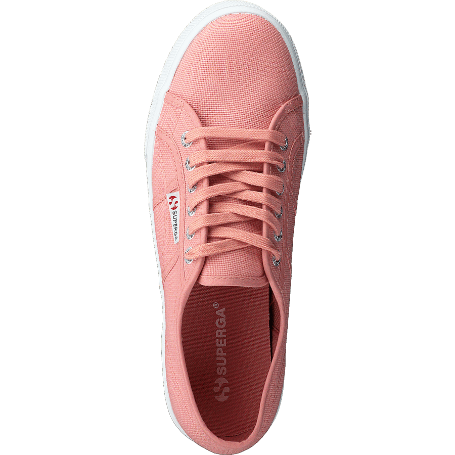 2790 Acotw Linea Rose Lobster