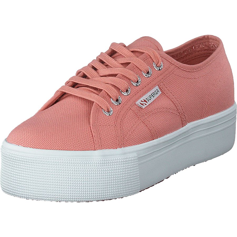 2790 Acotw Linea Rose Lobster