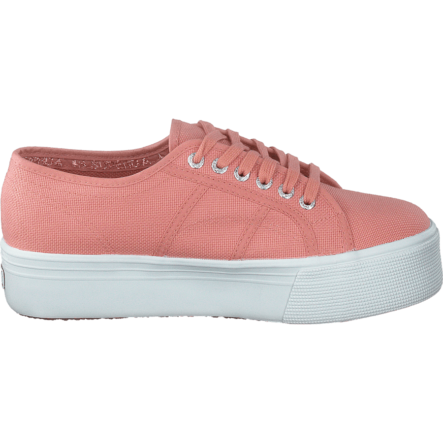 2790 Acotw Linea Rose Lobster