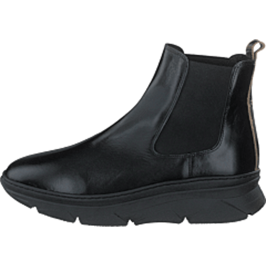 Quingo Negro Oasis Negro + Gold