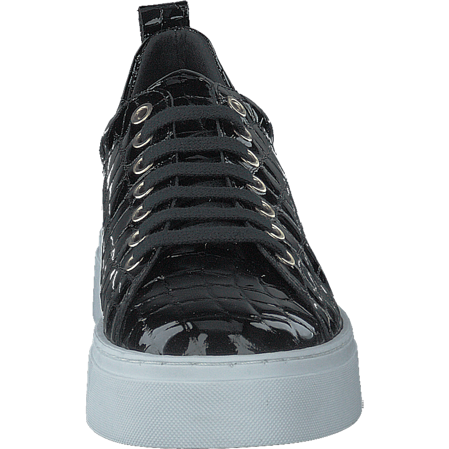 Coacig Blanco Boston Zafiro Negro