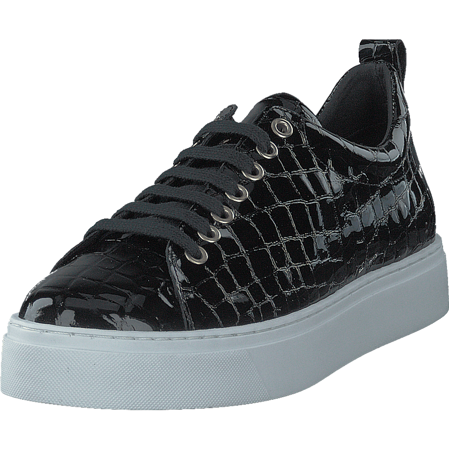 Coacig Blanco Boston Zafiro Negro