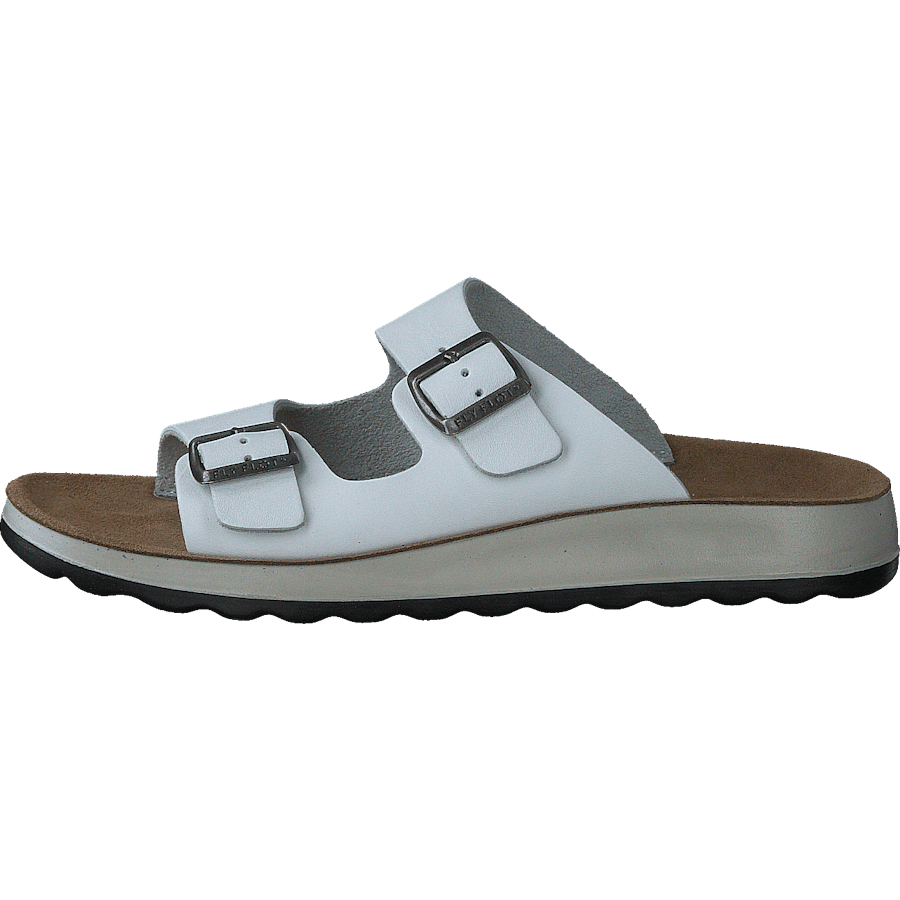 484-7764 White